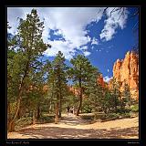 Bryce Canyon 41